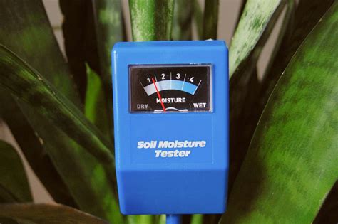 custom rapitest moisture meter manual|soil moisture meter reading chart.